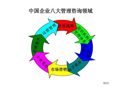 羅蘭貝格 中國企業管理咨詢提要