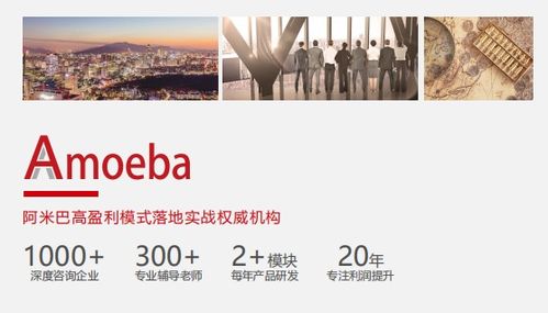 比佛利管理咨詢 推動阿米巴模式落地,企業贏在管理