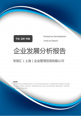 公司企業管理咨詢報告
